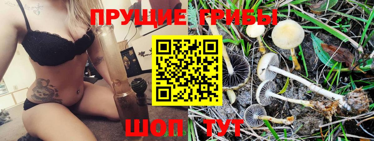 Псилоцибиновые грибы Magic Shrooms Губаха
