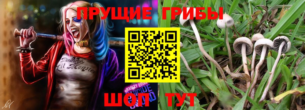 Губаха  Каннабис  A PVP СК кристаллы  Вход с VPN  Меф   COCAIN  ГАШ 